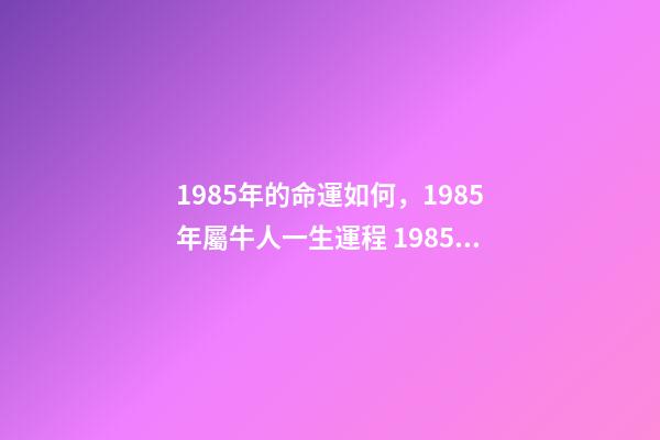 1985年的命運如何，1985年屬牛人一生運程 1985年屬牛人一生運勢1985年出生的屬牛人一生的運勢如何-第1張-觀點-玄機派